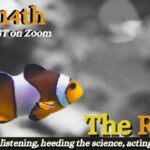 The Reef: listening, heeding, acting.
